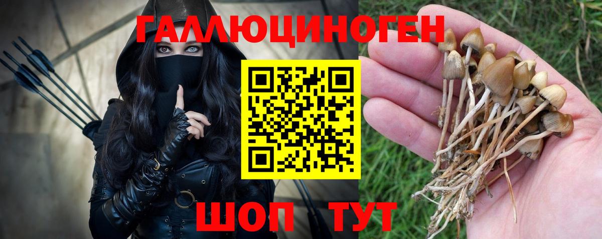 Хабаровск  Псилоцибиновые грибы Cubensis  Вход с VPN  Галлюциногенные грибы прущие грибы 